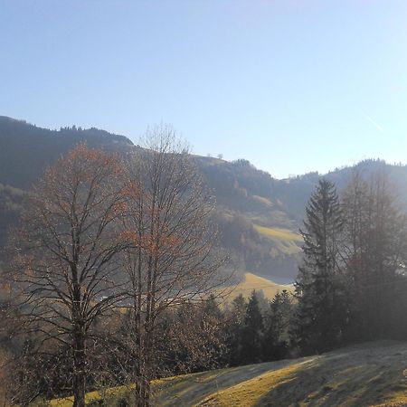 Chalet In Niederndorf Near Kufstein With Balcony Niederndorferberg Dış mekan fotoğraf