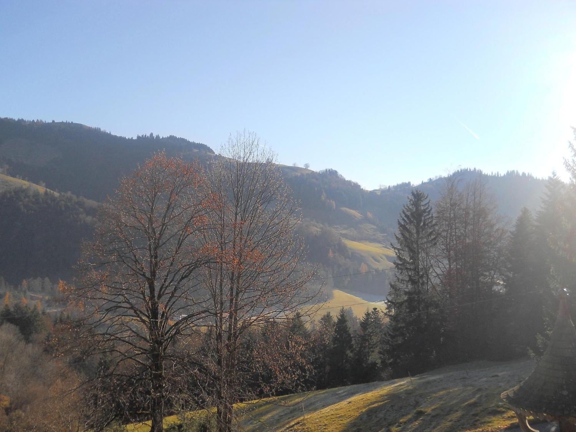 Chalet In Niederndorf Near Kufstein With Balcony Niederndorferberg Dış mekan fotoğraf